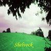 shelvock001003.jpg